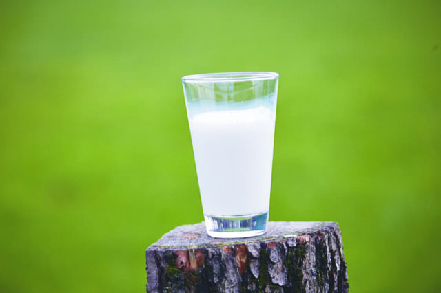 Milchglas auf einem Baumstamm